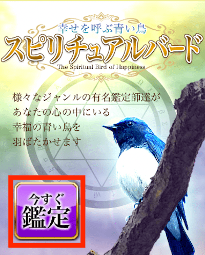 メール占い幸せを呼ぶ青い鳥スピリチュアルバードの公式画像