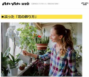 「ananweb」で夏目みやび先生の恋愛運風水記事が掲載！