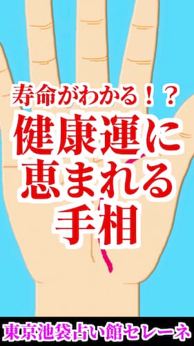 水森太陽の手相ショート動画が占い館セレーネYouTubeチャンネルで公開！